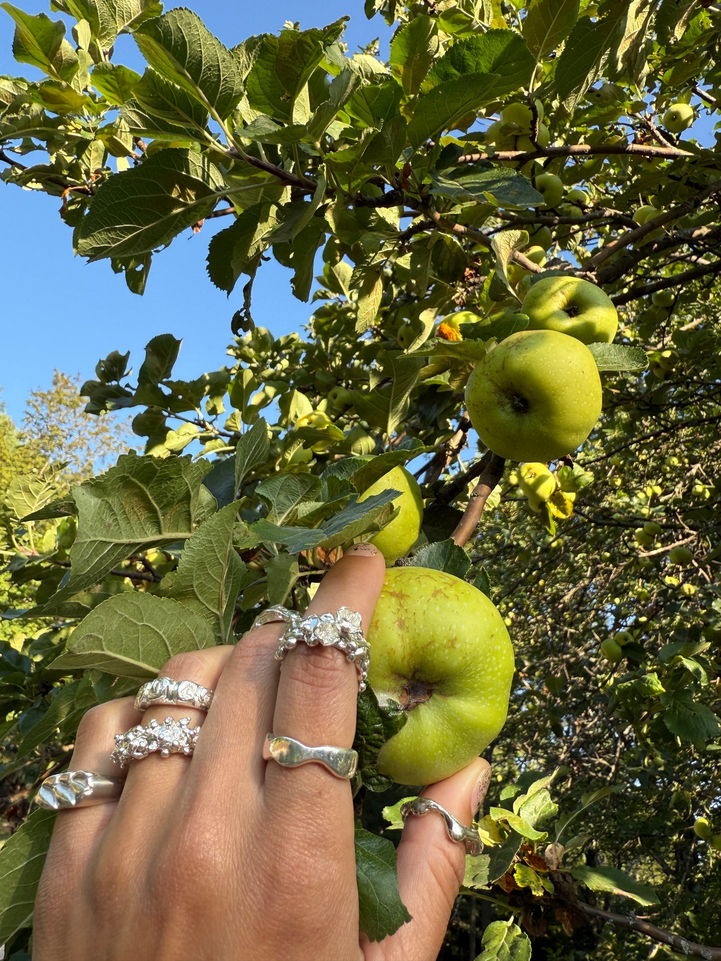 Garden of Opportunity