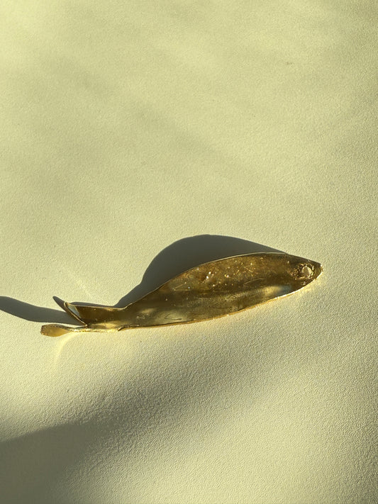 Lucky Fish